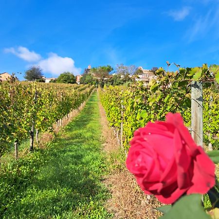 B&B Vigneto Pardom Montiglio Екстер'єр фото