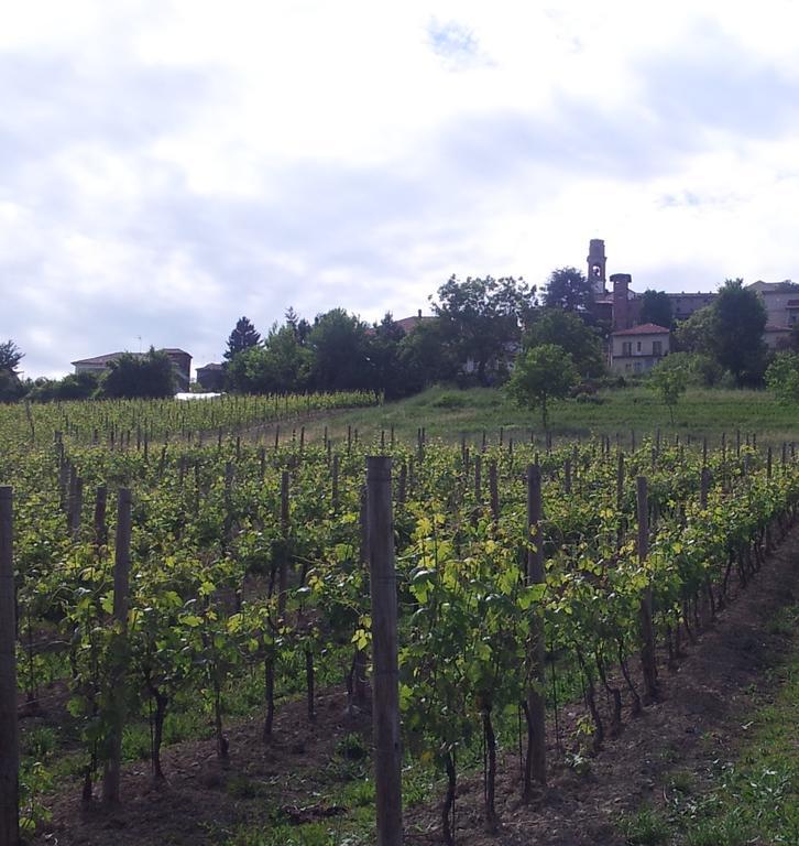 B&B Vigneto Pardom Montiglio Екстер'єр фото